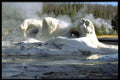 735000 Grotto Geyser, Upper Geyser Basin, Yellowstone National Park, U.S.A. A4 Photo Print