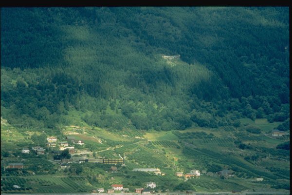 735006 Rukkedal, Nes, Norway A4 Photo Print