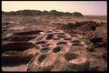 735012 Salt Production A4 Photo Print
