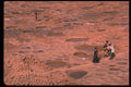 735013 Salt Production A4 Photo Print