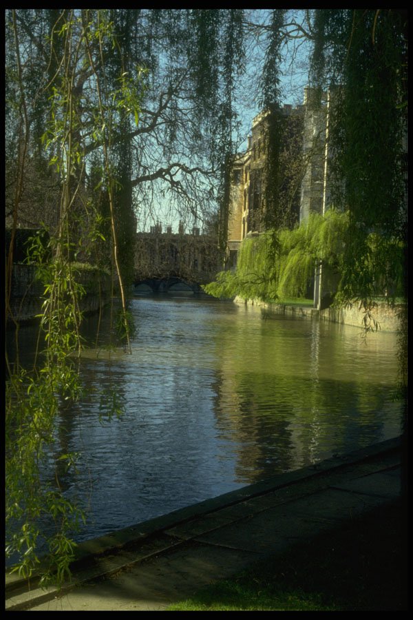 735015 River Carn At St. John's College, Cambridge, U.K. A4 Photo Print