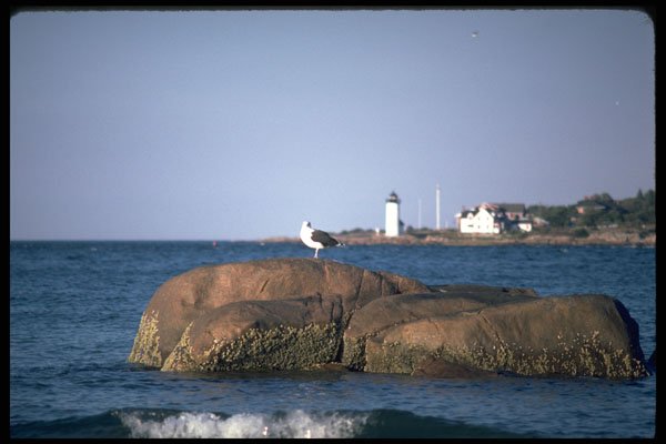 735039 Eastern Point Lighthouse, Gloucester, Massachusetts, U.S.A. A4 Photo Print