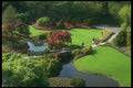 735048 Garden And Pond A4 Photo Print