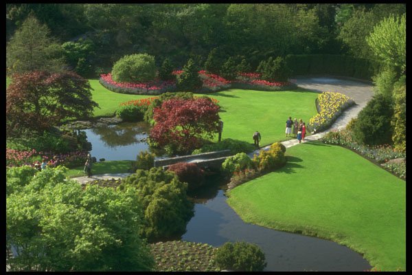 735048 Garden And Pond A4 Photo Print