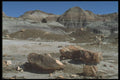 735051 In Blue Mesa A4 Photo Print