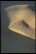 735075 Imagination A4 Photo Print