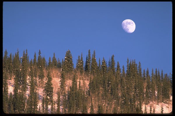 735082 Moonrise, Dawson City, Yukon Territory A4 Photo Print