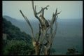 735095 Leopard, Kenya A4 Photo Print