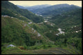 735096 Banana Rice Terraces, Philippines A4 Photo Print