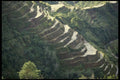 735097 Stairway To Heaven A4 Photo Print