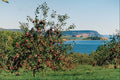 736009 Apple Orchard With Cape Blomindon In Background, Nova Scotia, Canada A4 Photo Print
