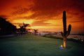 736010 La Concha Restaurant, Baja, Mexico A4 Photo Print