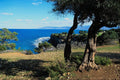 736030 Cyprus A4 Photo Print
