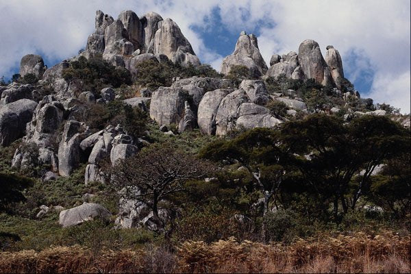 736033 Eastern Highlands, Zimbabwe A4 Photo Print