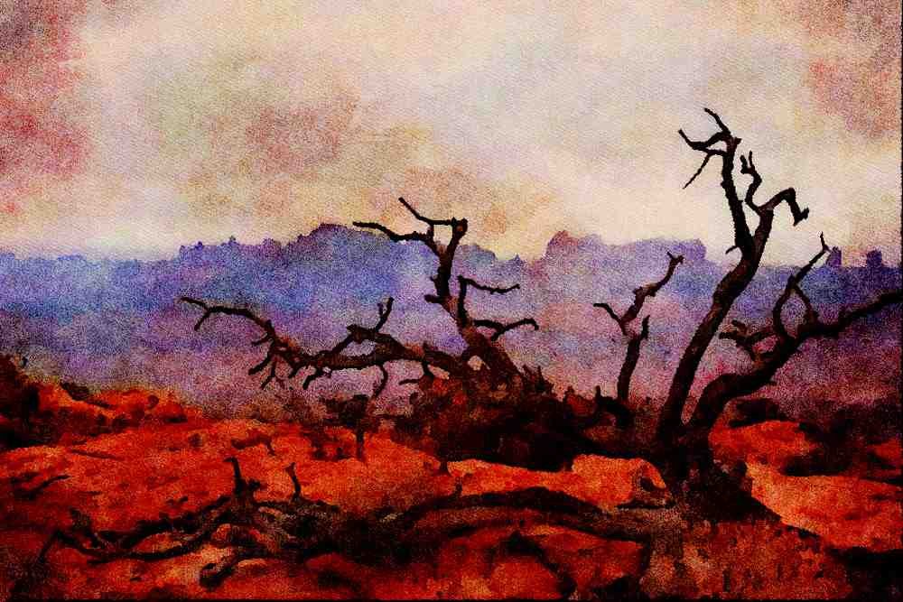 736036 Dead Tree, Arches National Park, Utah, U.S.A. A4 Limited Edition Watercolour Print