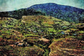 736038 Druro Valley, Portugal A4 Limited Edition Watercolour Print