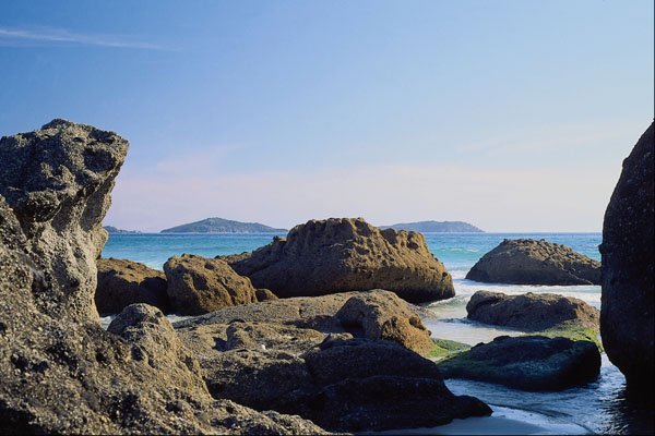736039 Wilsons Promontory National Park, Australia A4 Photo Print