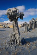 736047 Sand Tufa Formations, Mono Lake, California, U.S.A. A4 Photo Print