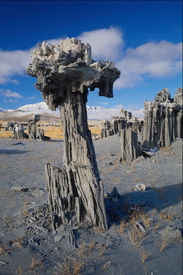 736047 Sand Tufa Formations, Mono Lake, California, U.S.A. A4 Photo Print