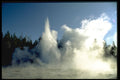 736052 Grand Geyser Eruption, Upper Geyser Basin, Yellowstone National Park, U.S.A. A4 Photo Print