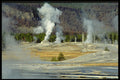 736054 Upper Geyser Basin, Yellowstone National Park, U.S.A. A4 Photo Print
