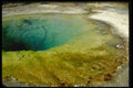 736055 Morning Glory Pool, Upper Geyser Basin, Yellowstone National Park, U.S.A. A4 Photo Print