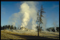 736056 White Steam, Upper Geyser Basin, Yellowstone National Park, U.S.A. A4 Photo Print