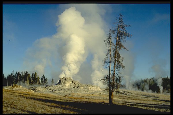 736056 White Steam, Upper Geyser Basin, Yellowstone National Park, U.S.A. A4 Photo Print