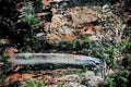 736058 Purling Brook Falls, Gold Coast, Australia A4 Limited Edition Watercolour Print