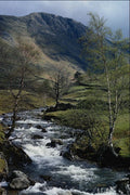 736060 Pasture Beck At Low Hartsop, Cumbria, U.K. A4 Photo Print