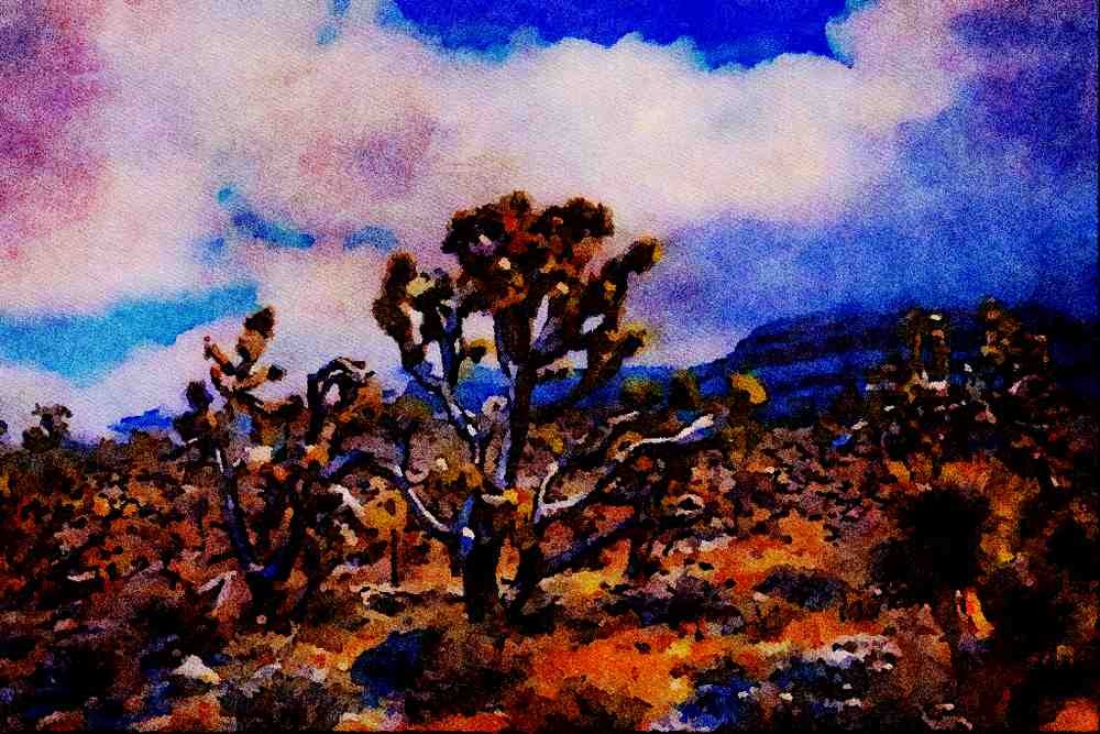 736088 Joshua Trees, Meadview, Arizona, U.S.A. A4 Limited Edition Watercolour Print
