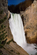 736092 Lower Yellowstone Falls, Yellowstone National Park, U.S.A. A4 Photo Print