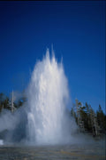 736095 Grand Geyser, Yellowstone National Park, U.S.A. A4 Photo Print