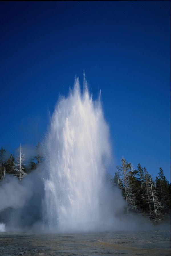 736095 Grand Geyser, Yellowstone National Park, U.S.A. A4 Photo Print