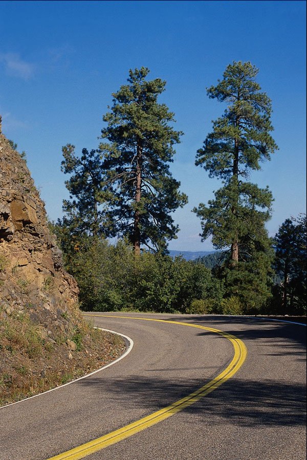 737006 Coronado Trail, Highway 191 North Of Clifton, Arizona, U.S.A. A4 Photo Print