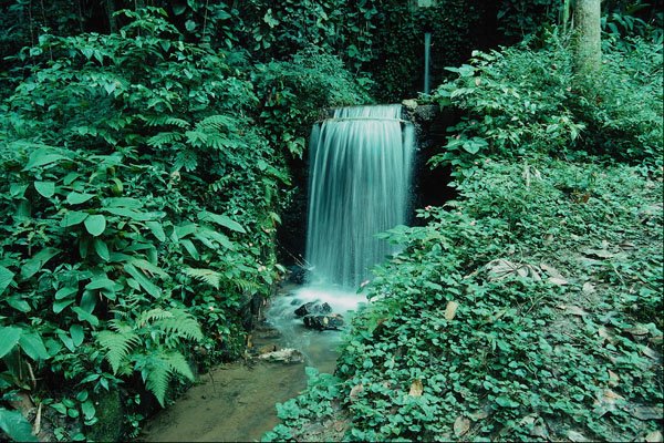 737039 Waterfall At Botanical Gardens A4 Photo Print