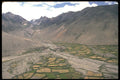 737066 Cultivated Barley Fields A4 Photo Print