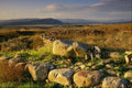 737080 Ruins Of Numancia, Soria, Spain A4 Photo Print