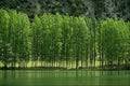 737082 Navarra, Spain A4 Photo Print