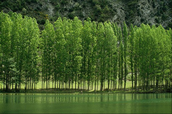 737082 Navarra, Spain A4 Photo Print