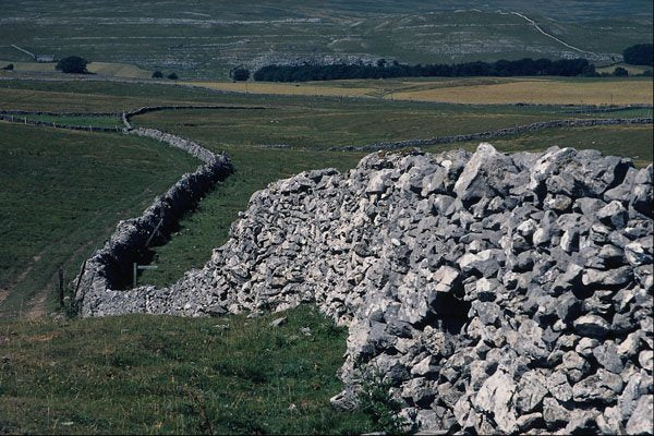 737096 Limestone Wall At Malham, Yorks A4 Photo Print