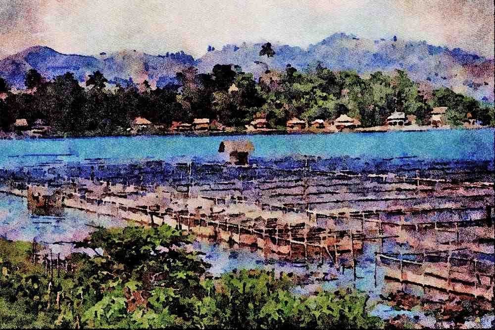 738000 Fish Breeding, Lake Sebu, Mindanao, Philippines A4 Limited Edition Watercolour Print