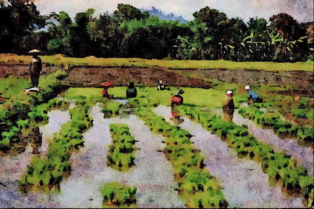 738001 People Planting Rice, Lake Sebu, Philippines A4 Limited Edition Watercolour Print