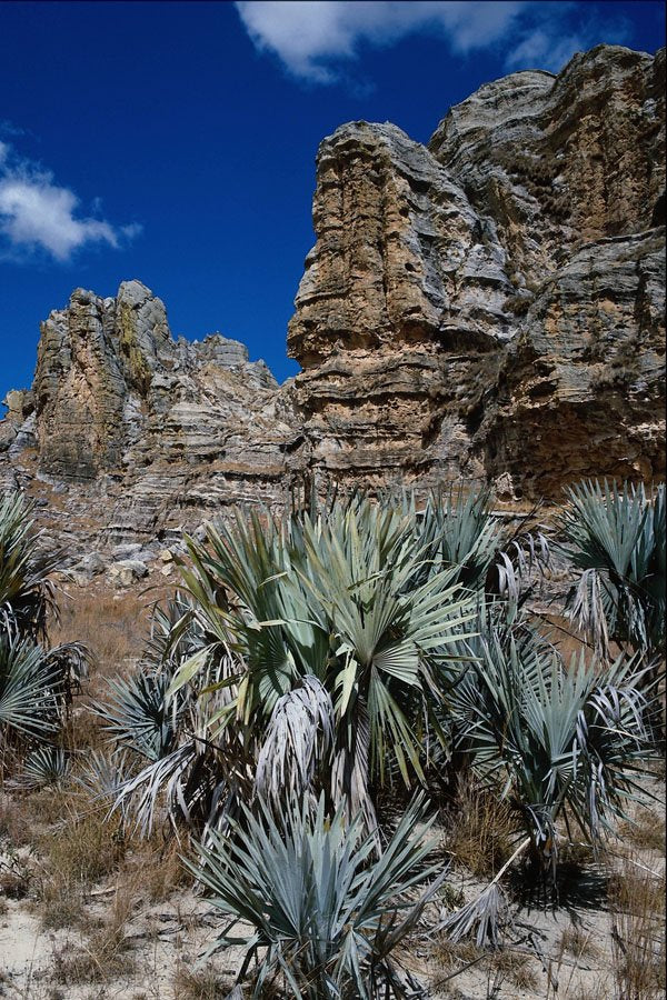 738009 Isalo Massif, South Central Madagascar A4 Photo Print