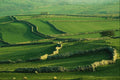 738010 Limestone Walls, Malhamdale, United Kingdom A4 Photo Print