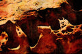 738029 Paria Canyon, Utah, U.S.A. A4 Limited Edition Watercolour Print