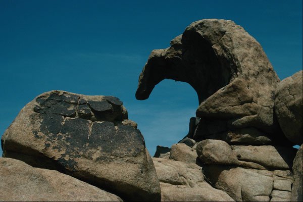738031 Joshua Tree National Park, California, U.S.A. A4 Photo Print