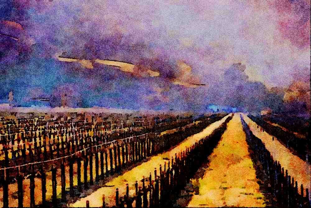 738040 Vineyard, Mayacamas Region A4 Limited Edition Watercolour Print