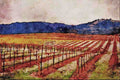 738041 Flowers In Vineyard, Alexander Valley, California, U.S.A. A4 Limited Edition Watercolour Print