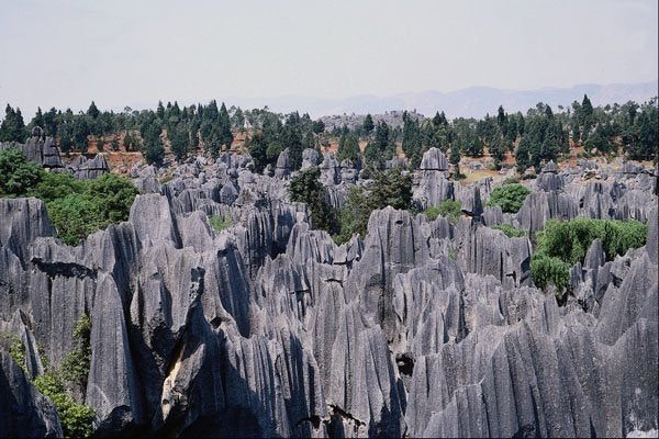 738049 Stone Forest Gray Limestone Pillars, Kummin, Southern China A4 Photo Print